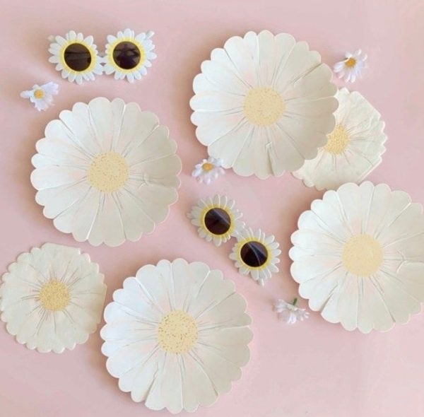 wild daisy plates margarita - Imagen 2